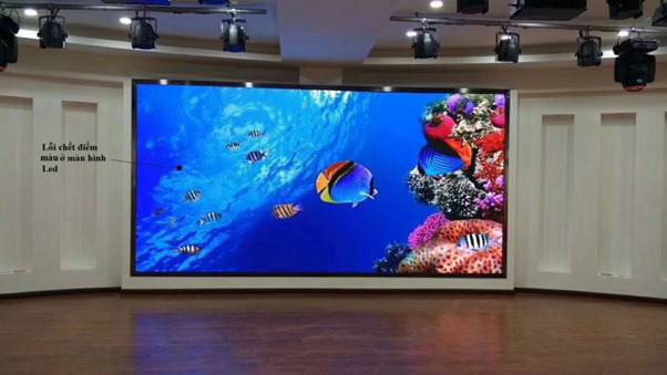 Điểm chết màn hình LED là gì? Nguyên nhân và cách khắc phục