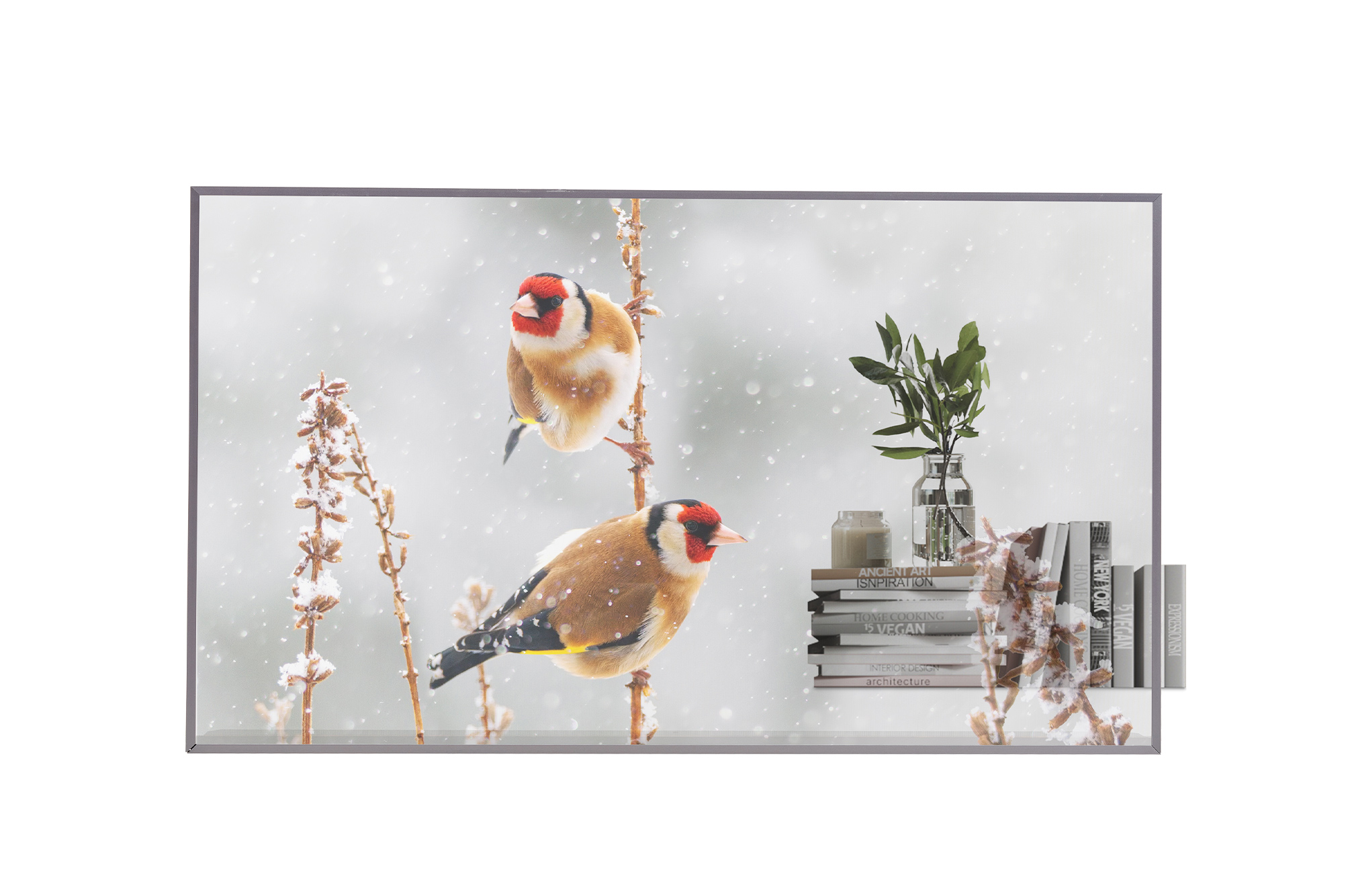 55EW5P-M - Màn hình OLED trong suốt LG